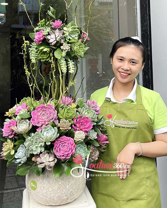 Chậu hoa sen đá - Biểu tượng hoàn hảo