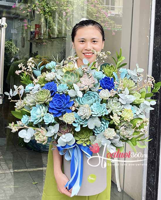 Hộp hoa sen đá - Thanh xuân tươi đẹp