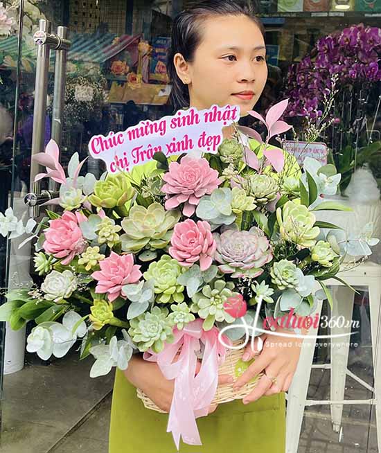 Giỏ hoa sen đá - Thu về nắng ấm