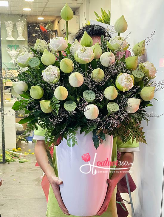 Chậu hoa sen trắng - Tinh hoa đất trời