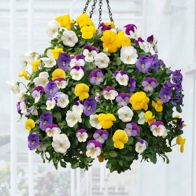 Mua hoa giả cao cấp tại cửa hàng Hoa tươi 360