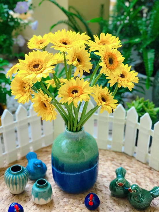 Bình hoa cúc đồng tiền xinh xắn