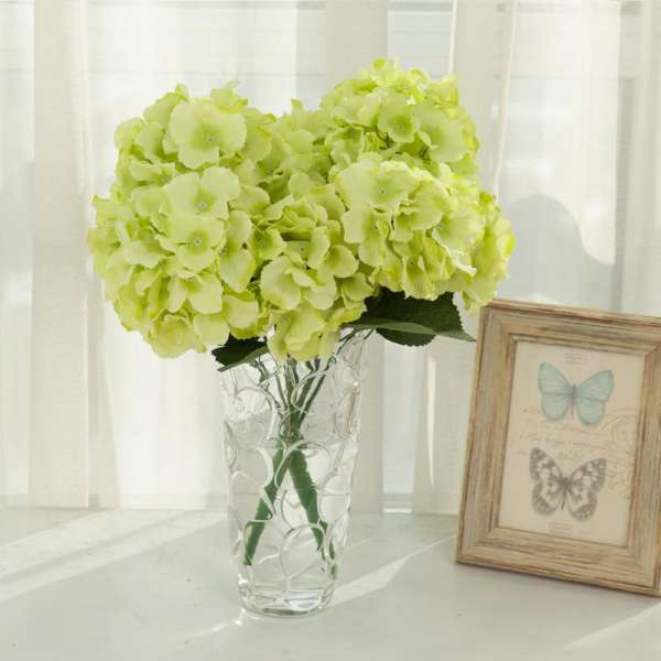 Giữ hoa cẩm tú cầu tươi lâu