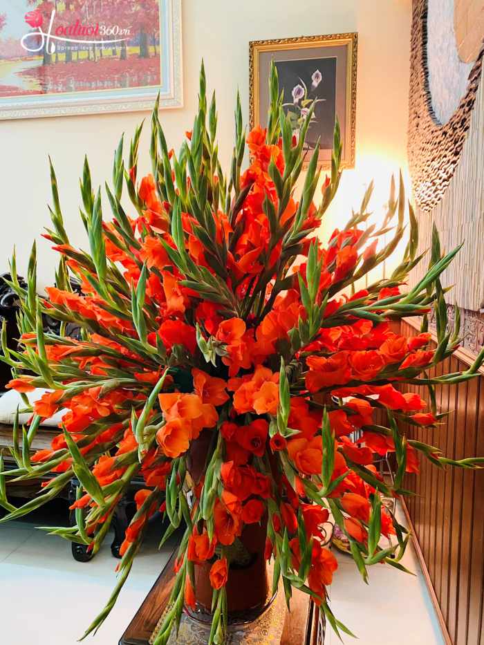 Bình hoa lay ơn đỏ chưng Tết ở phòng khách