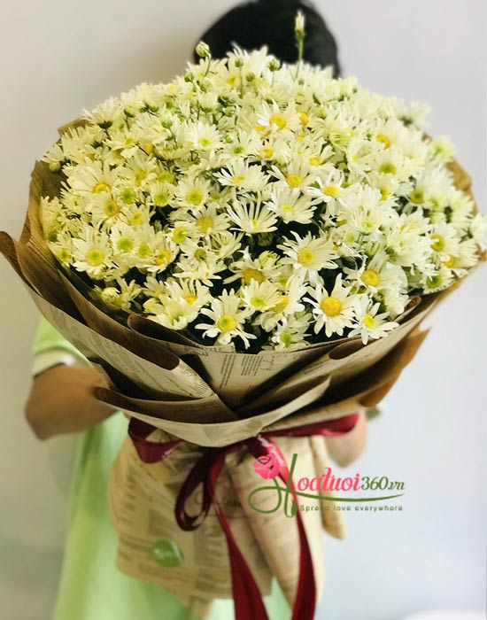 Bó hoa cúc họa mi - Go for love Bó hoa cúc họa mi - Go for love