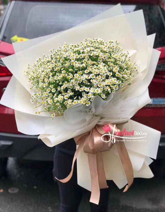 Bó hoa cúc tana - Mặt trời nhỏ Bó hoa cúc tana - Mặt trời nhỏ