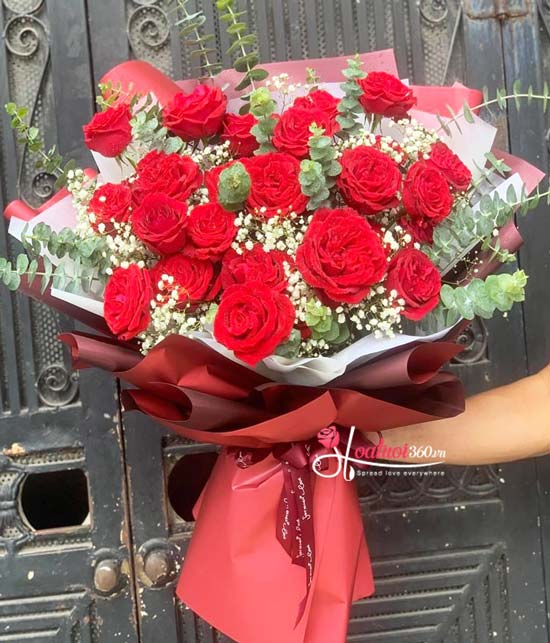 Bó hồng Ecuador - Born to love Bó hồng Ecuador - Born to love