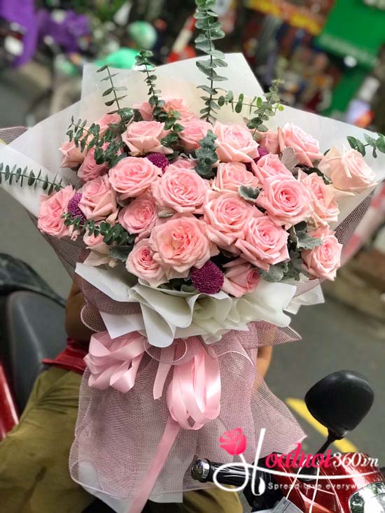 Bó hồng Ohara - Tha thiết Bó hồng Ohara - Tha thiết