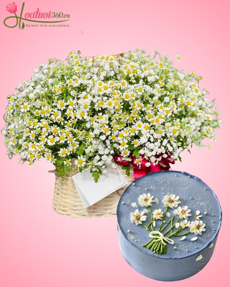 bánh kem sinh nhật và hoa cúc tana trắng