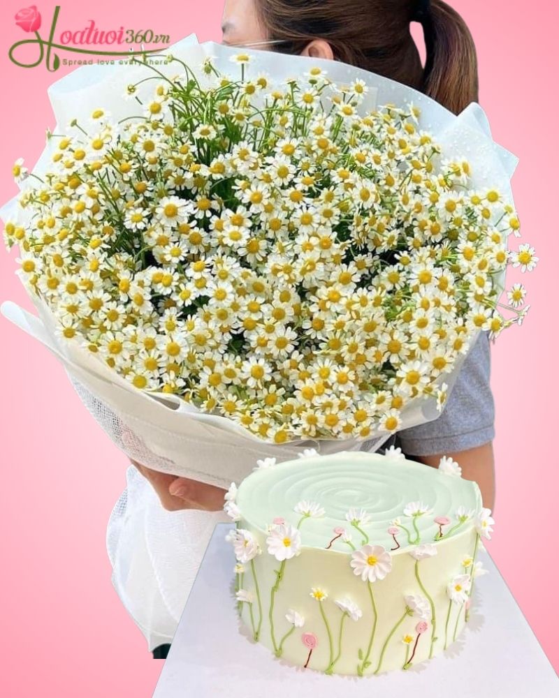 set quà sinh nhật hoa cúc tana và bánh kem dễ thương