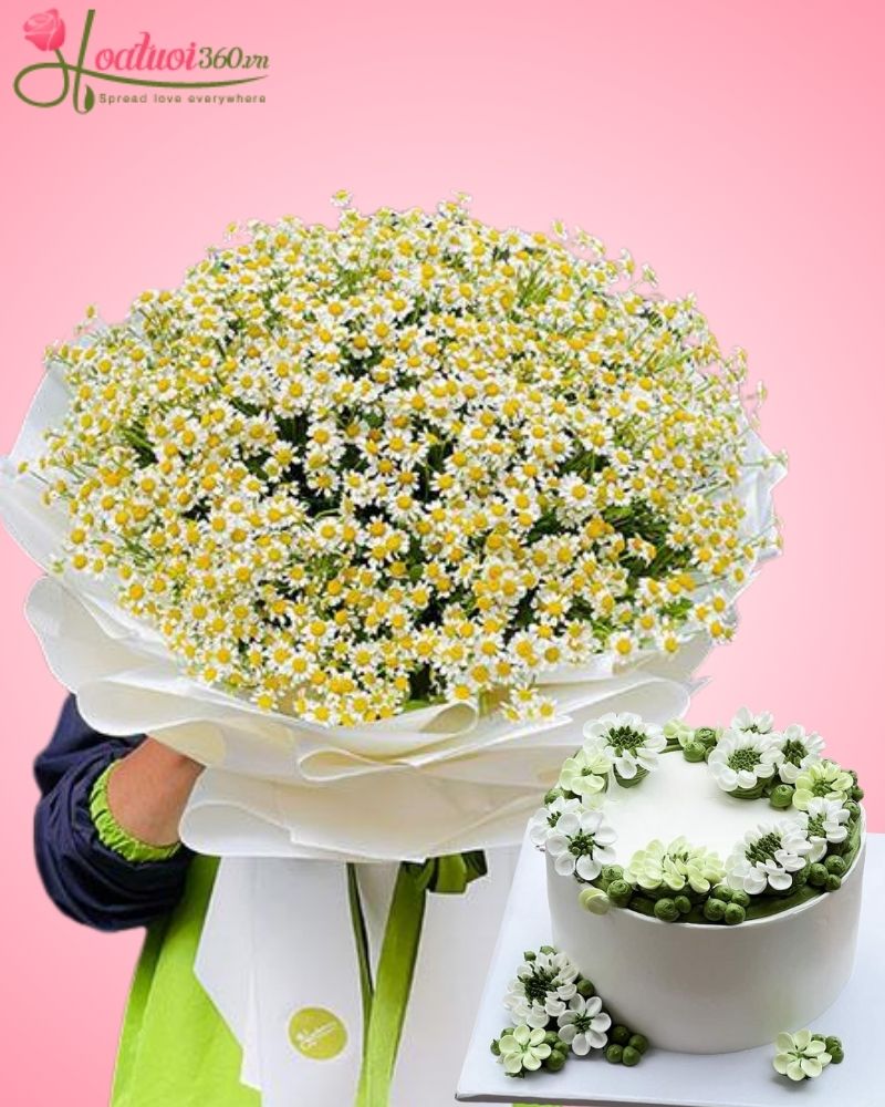 combo bánh kem sinh nhật và hoa cúc tana