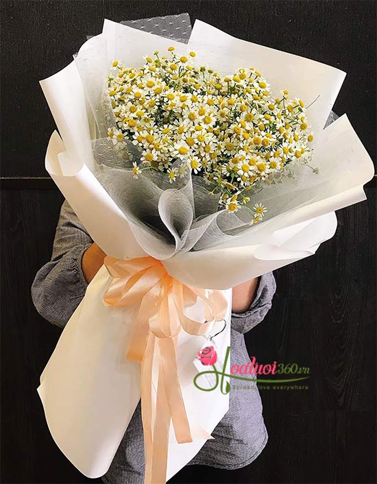 Bó hoa cúc tana - Vương vấn Bó hoa cúc tana - Vương vấn