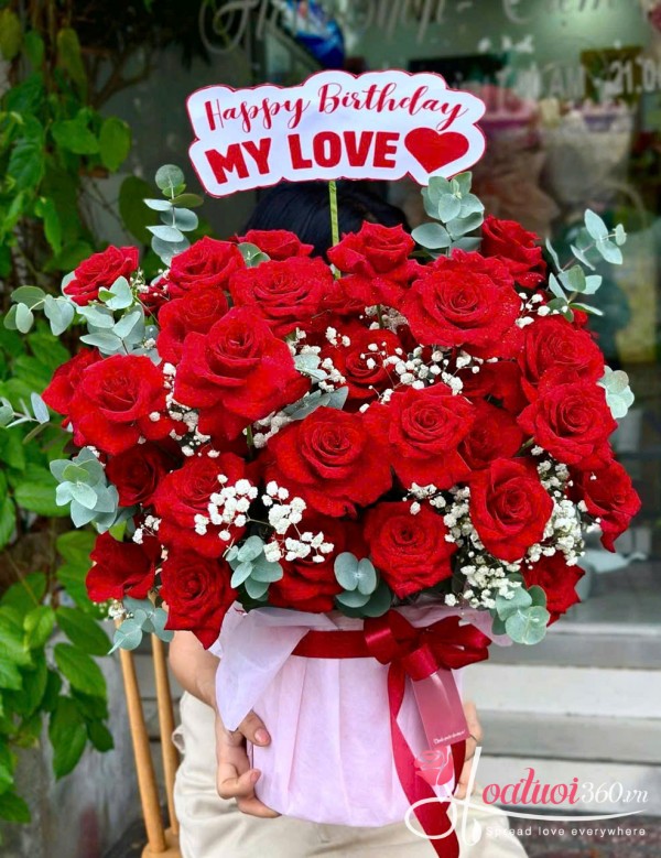 Hoa sinh nhật - Ngày nắng có em