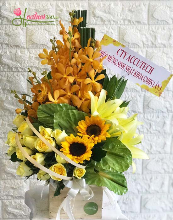 Hoa Sinh Nhật - Món Quà Ý Nghĩa Cho Ngày Đặc Biệt