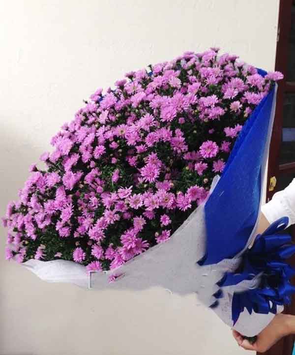 Bó hoa thạch thảo màu tím mộng mơ