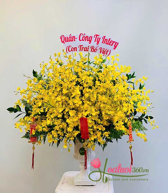 Bình hoa lan vũ nữ - Trăm năm lộc phát