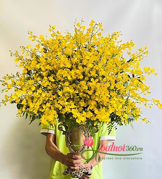 Bình hoa lan vũ nữ - Đỉnh vinh quang