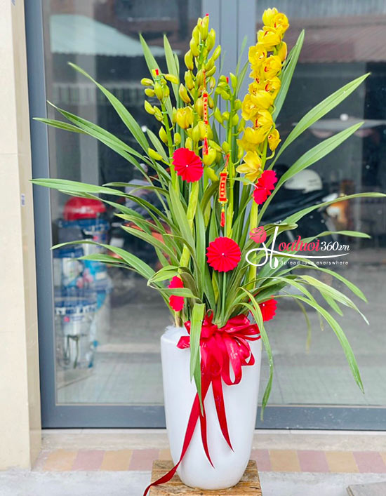 Chậu hoa địa lan - Thuận lời trăm bề