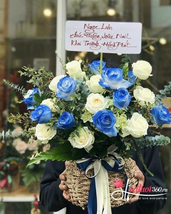 Hoa cắm giỏ - Tương lai tươi sáng