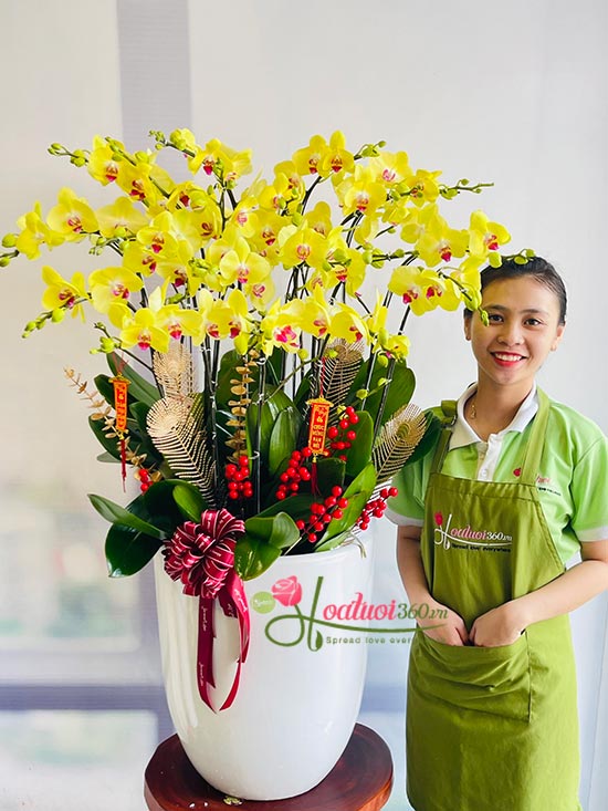 Chậu lan hồ điệp vàng - Một nhà no đủ