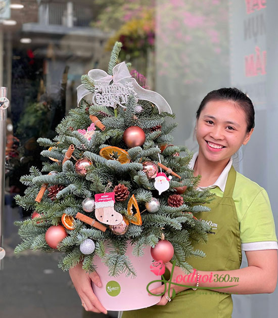 Hoa giáng sinh - Hòa nhịp chuông vang