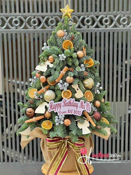 Hoa giáng sinh - Hạnh phúc bên nhau