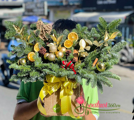 Hoa giáng sinh - Nguyện ước hạnh phúc