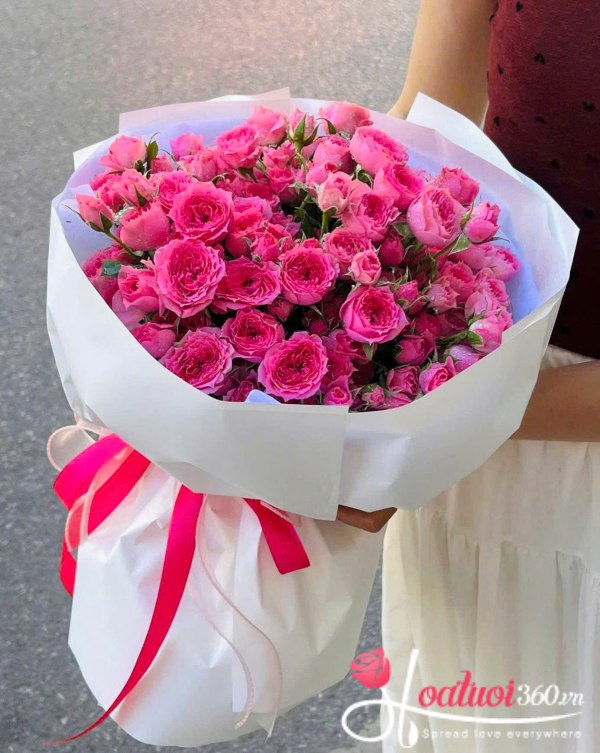 Hoa sinh nhật - Ngày đầu tiên