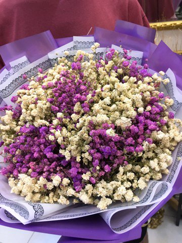 hoa baby tím tặng bạn gái