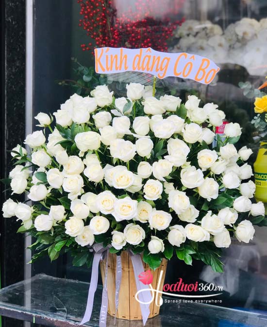 Hoa hộp gỗ - Thanh lịch Hoa hộp gỗ - Thanh lịch