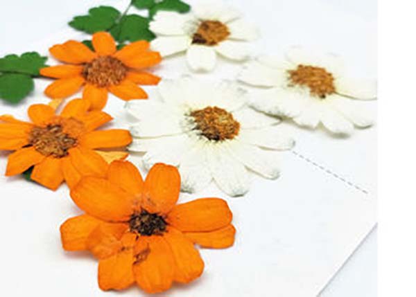 Hướng dẫn cách làm hoa khô đơn giản tại nhà