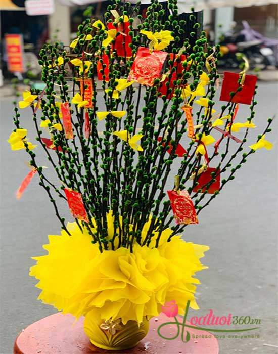 Bình nụ tầm xuân tết - Ngày xuân rực rỡ